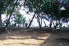 Koggala Beach Resort 